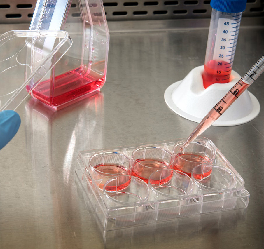 Bioanalytical Services
